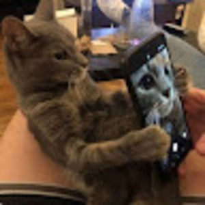 Meet your Posher, Nurah